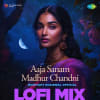 Aaja Sanam Madhur Chandni - Lofi Mix