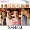 Sanam - O Mere Dil Ke Chain