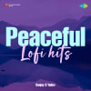 Peaceful Lofi hits