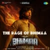 The Rage Of Bhimaa - Bhimaa