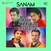 Mere Sapnon Ki Rani Kab Aayege Tu - Sanam
