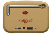 saregama carvaan-gift for music lovers image