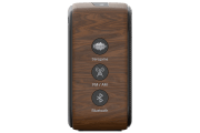 saregama carvaan-gift for music lovers image