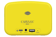 saregama carvaan-gift for music lovers image