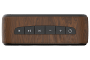 saregama carvaan-gift for music lovers image