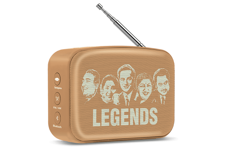 saregama carvaan-gift for music lovers image