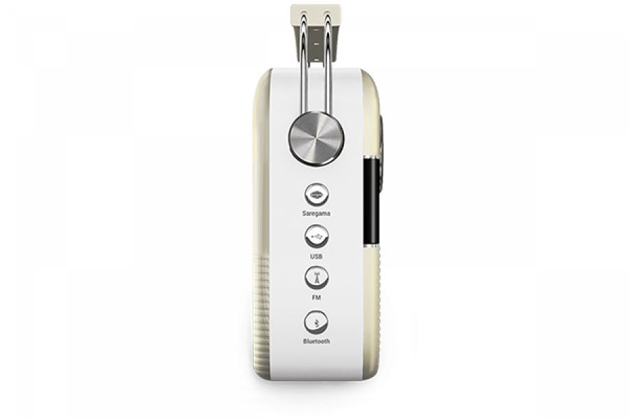 Saregama carvaan telugu deals songs